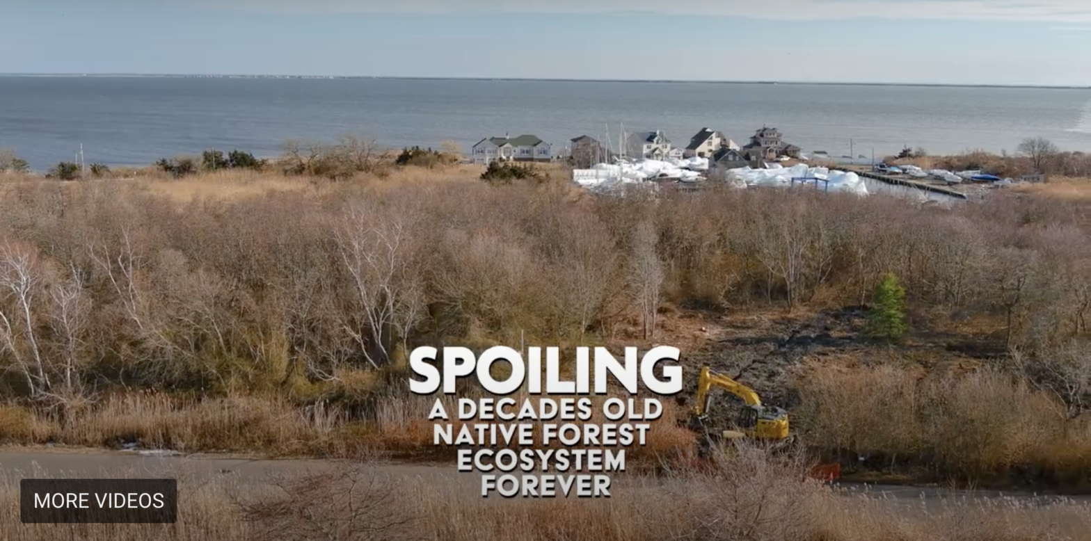 Destroying a Freshwater Wetland to Dump Dredge Spoils?
