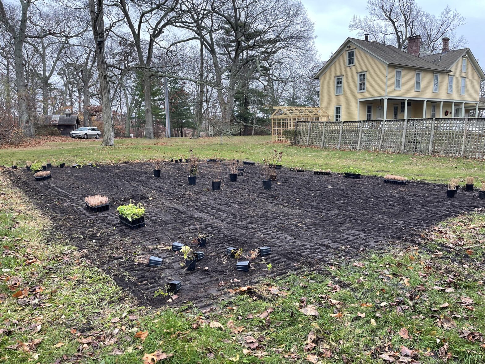 Planting A Native Wildflower Garden At “The Roosevelt Estate”