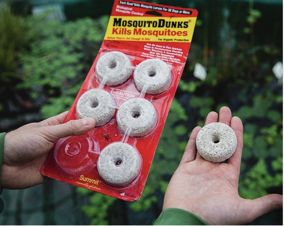 mosquito dunks