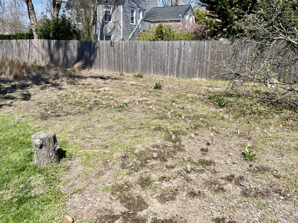 lawn replacement
