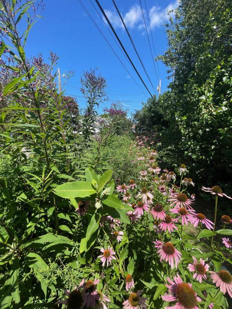 stormwater management