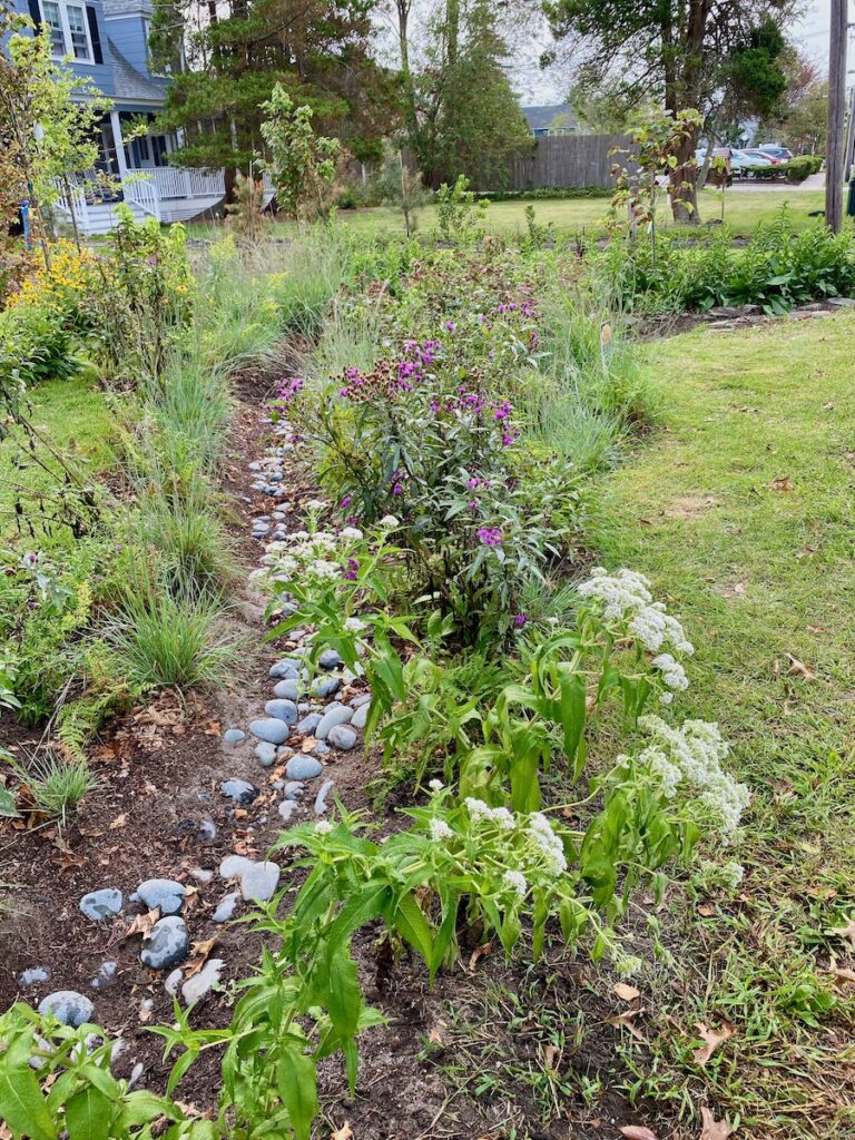 stormwater management