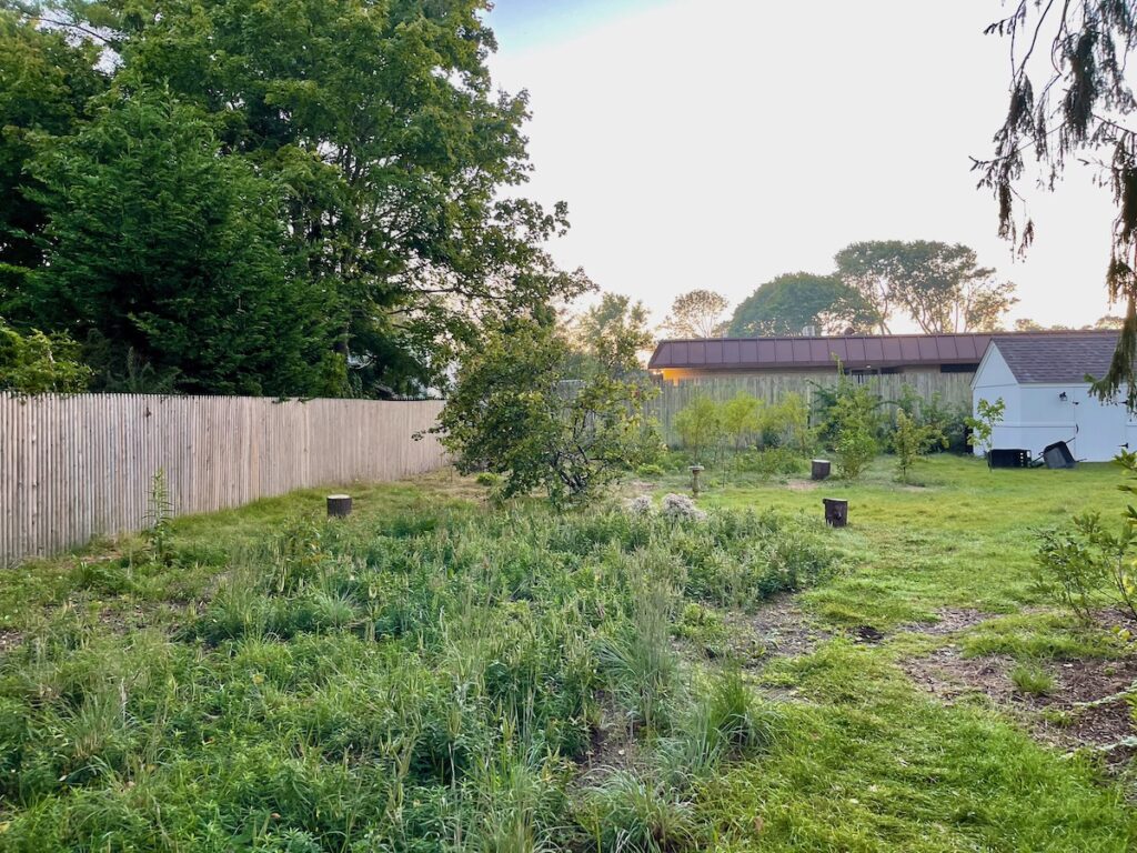 stormwater management