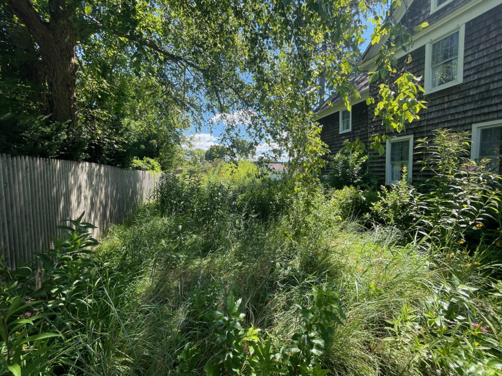 stormwater management