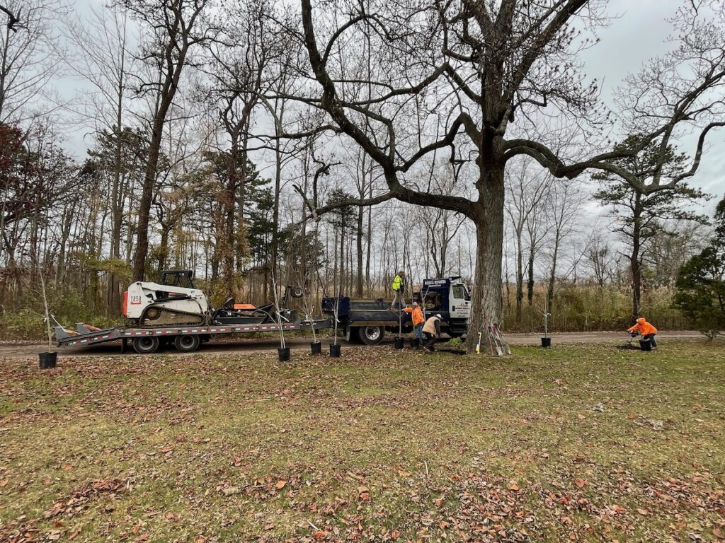 Fall Planting Day