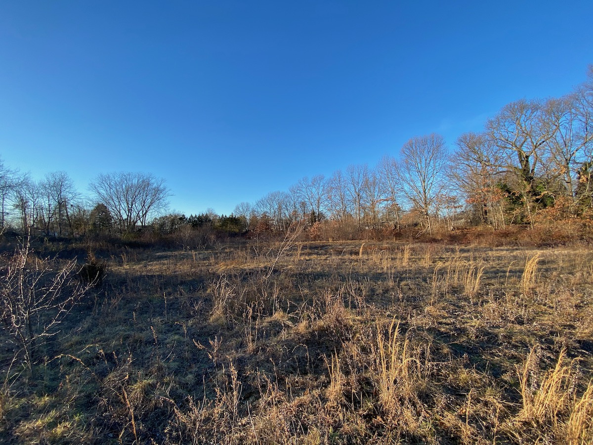 Sumps Must Become  Native Habitat
