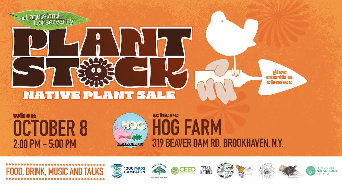 Plantstock!  Buy Native Plants For Your Fall Plantings.  Learn About Them Too!
