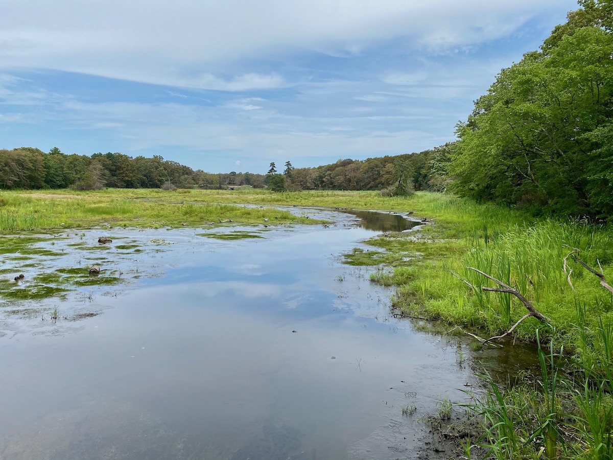 Let Our Waters Run Free! No More Dams!