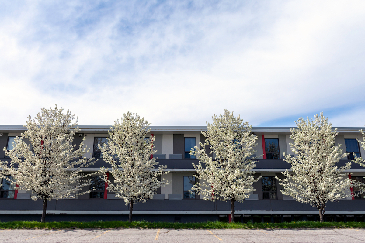How NOT To Select Street Trees