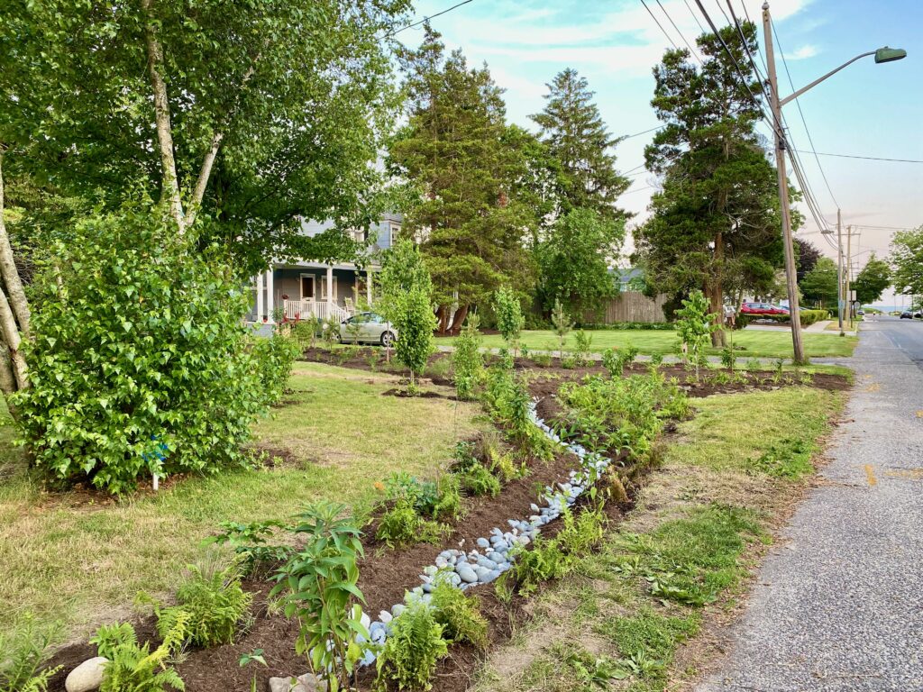 native yard