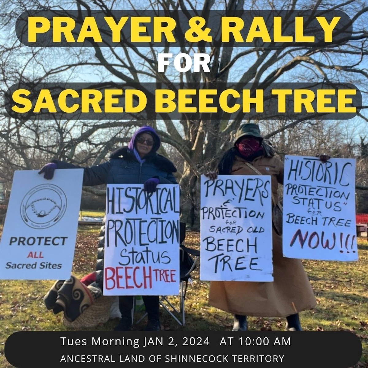 Save Our Sacred Trees