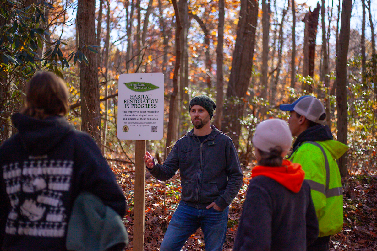 Become a Town Steward!