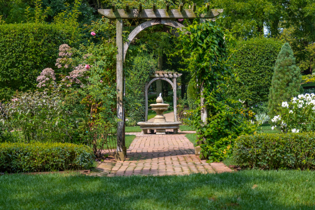 invasive plants and insects
