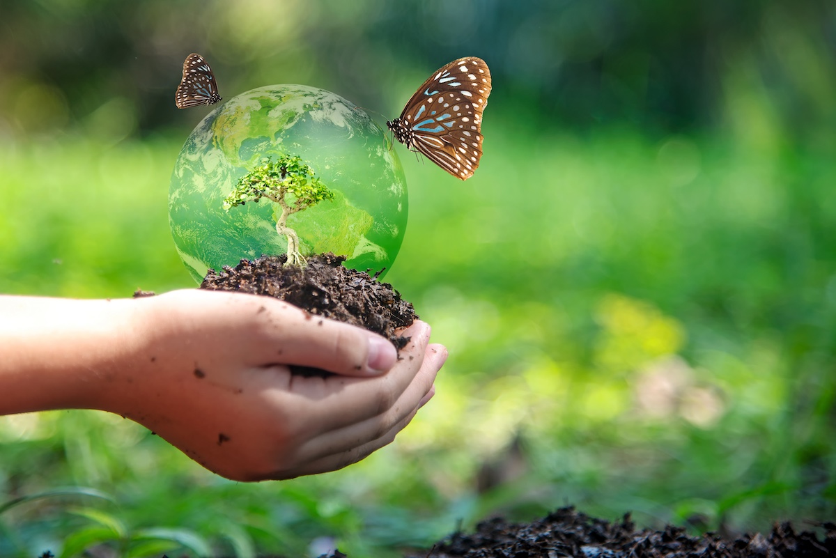 restore local ecosystems