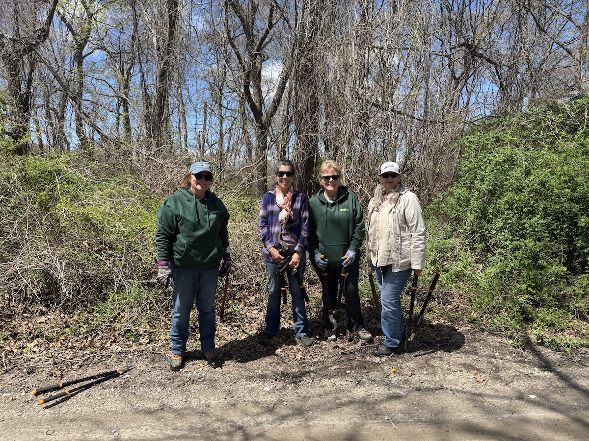 Fighting Invasive Plants At Meadow Croft