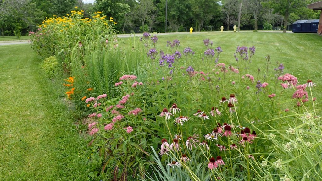native planter