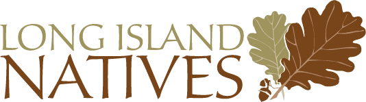 Long Island Natives logo
